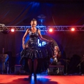 flamenco (115)